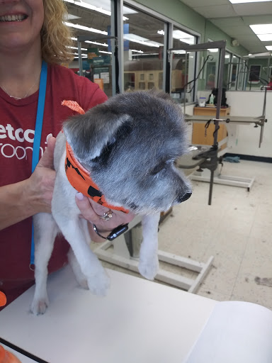 Pet Supply Store «Petco Animal Supplies», reviews and photos, 2723 Stroschein Rd, Monroeville, PA 15146, USA