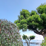 Photo n°2 de l'avis de Alessandra.a fait le 23/07/2021 à 12:50 sur le  Trattoria da Giggetto à Gradoli