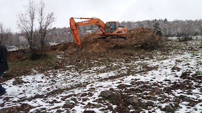 Photos of Towards 100th Anniversary Memorial Forest