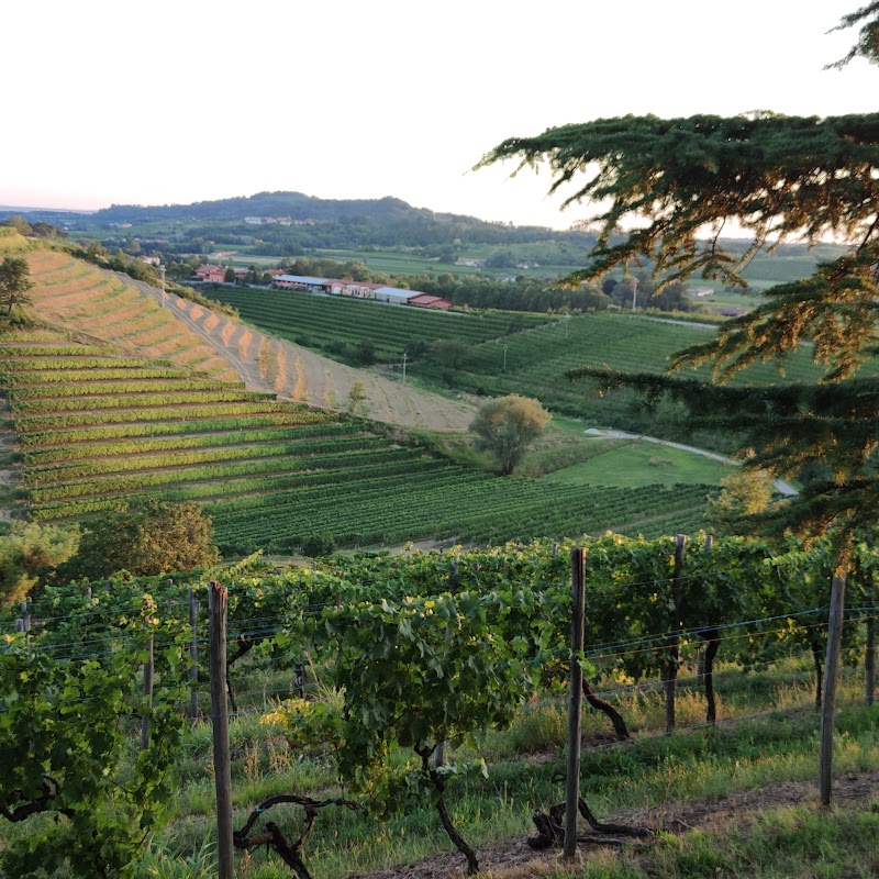 Gigante Wine & Welcome in Friuli