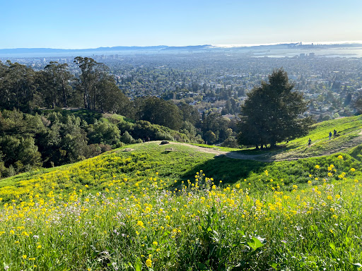 Clark Kerr Fire Trail