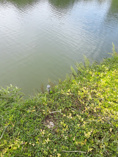 Country Club «Redland Golf & Country Club», reviews and photos, 24451 SW 177th Ave, Homestead, FL 33031, USA