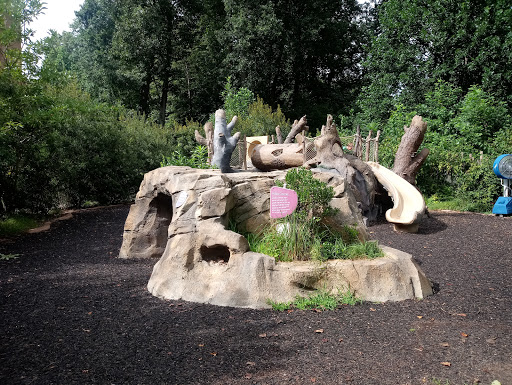 Nature Preserve «Fernbank Forest», reviews and photos, 767 Clifton Rd, Atlanta, GA 30307, USA