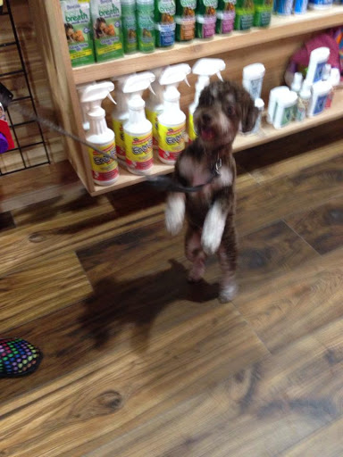 Pet Groomer «Woof Gang Bakery Rockwall», reviews and photos, 832 Steger Towne Rd, Rockwall, TX 75032, USA