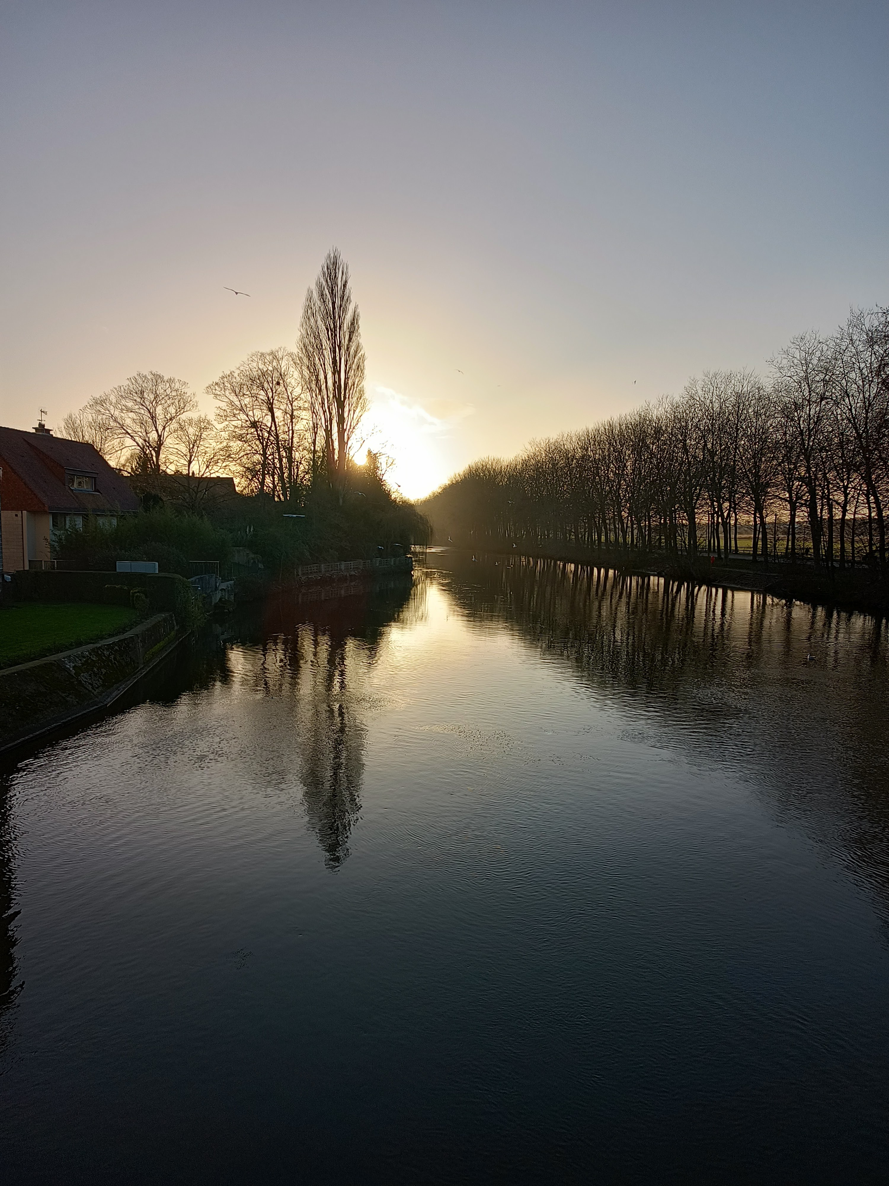 Photo n° 1 de l'avis de François.o fait le 11/03/2023 à 11:12