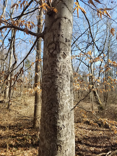 Park «Ellanor C. Lawrence Park», reviews and photos, 5040 Walney Rd, Chantilly, VA 20151, USA