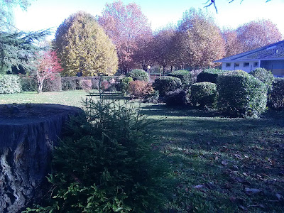 Paysagiste Navarre Benjamin Auprès de mon jardin à Saint-Arnoult