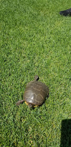 Golf Club «Stadium Golf Club», reviews and photos, 333 Jackson Ave, Schenectady, NY 12304, USA