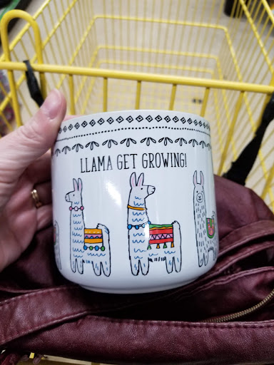 Discount Store «Dollar General», reviews and photos, 1360 NY-5, Silver Creek, NY 14136, USA