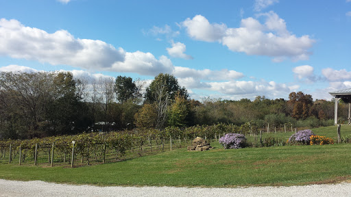 Winery «Cameo Vineyards», reviews and photos, 400 Mill Rd, Greenup, IL 62428, USA