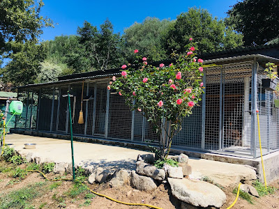 Balagn'Animo à Feliceto