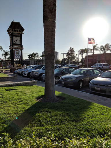 Enderle Center image
