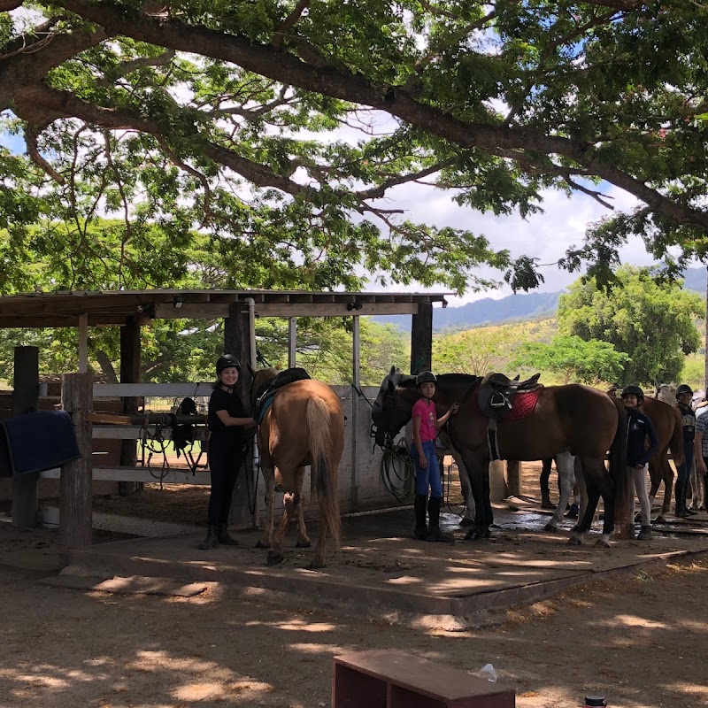 Lōkahi Horsemanship