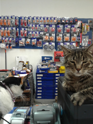 Auto Parts Store «NAPA Auto Parts - Leissner Auto Parts», reviews and photos, 270 E San Antonio St, New Braunfels, TX 78130, USA