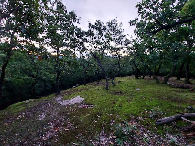 Budakeszi, Unnamed Road, 2092, Magyarország