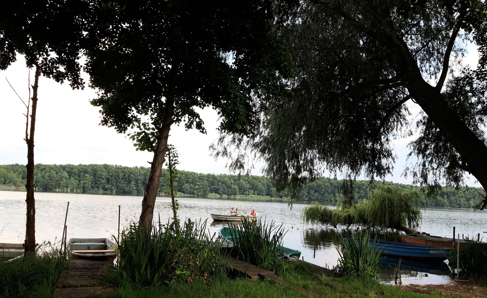 Badestrand Patzer Hintersee'in fotoğrafı vahşi alan