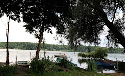 Badestrand Patzer Hintersee'in fotoğrafı vahşi alan