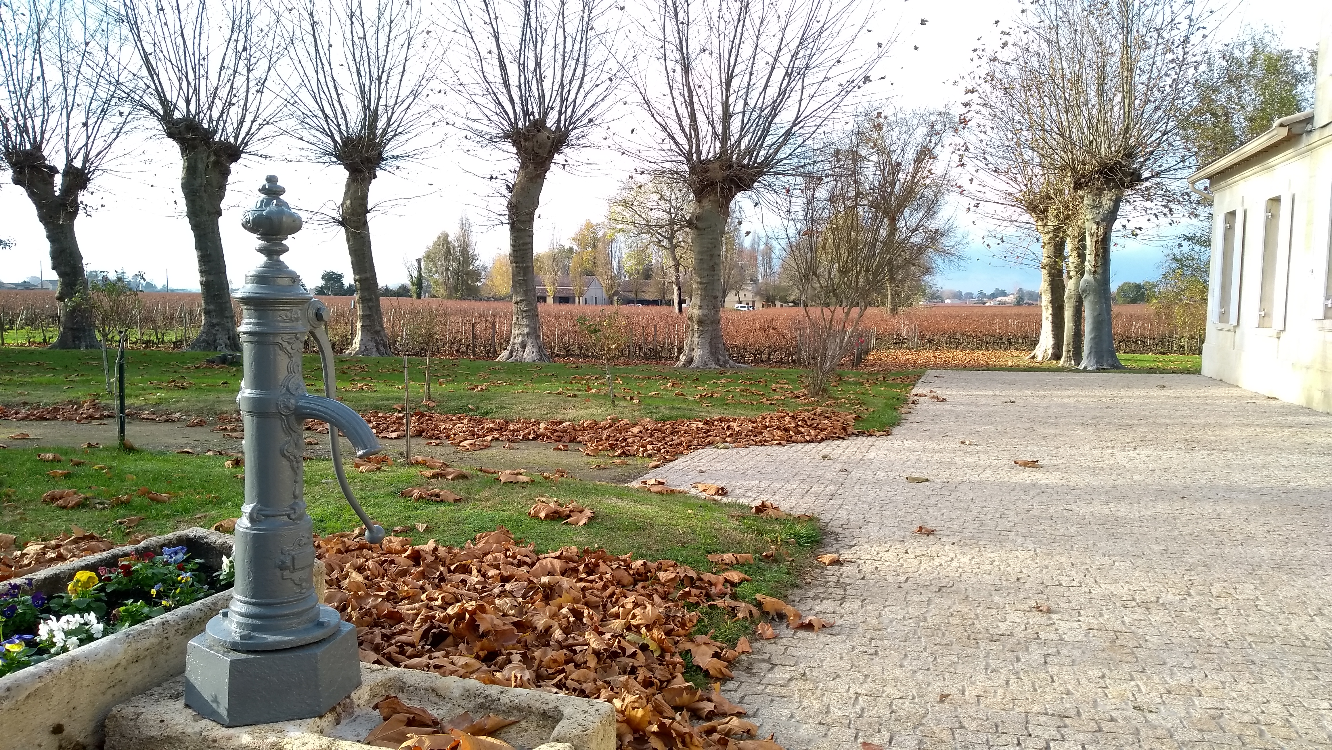 Photo n° 2 de l'avis de Gisele.a fait le 26/11/2018 à 15:19