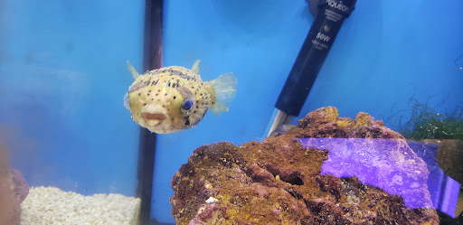 Shopping Mall «Hillcrest Shopping Center», reviews and photos, 1855 E Main St #10, Spartanburg, SC 29307, USA