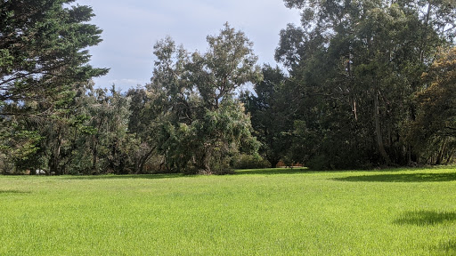 Nature Preserve «LandPaths Grove of Old Trees», reviews and photos, 17599 Fitzpatrick Ln, Occidental, CA 95465, USA