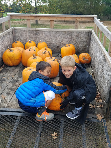 Country Club «Lakelands Golf & Country Club», reviews and photos, 8760 Chilson Rd, Brighton, MI 48116, USA