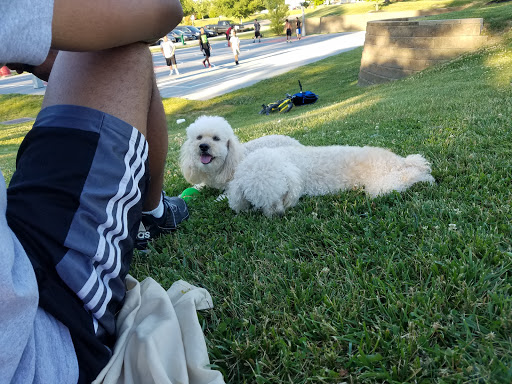 Park «Stringtown Park», reviews and photos, 7340 Burlington Pike, Florence, KY 41042, USA