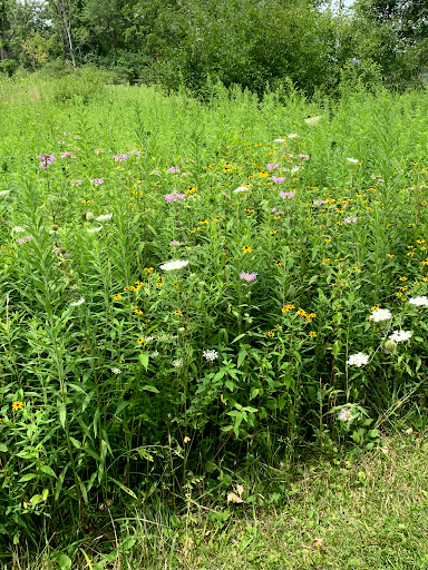 Learning Center «Sagawau Environmental Learning Center», reviews and photos, 12545 111th St, Lemont, IL 60439, USA