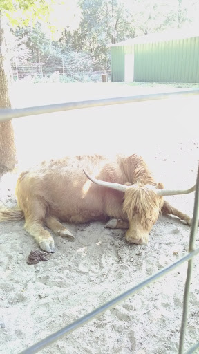 Zoo «Gators and Friends», reviews and photos, 11441 US-80, Greenwood, LA 71033, USA