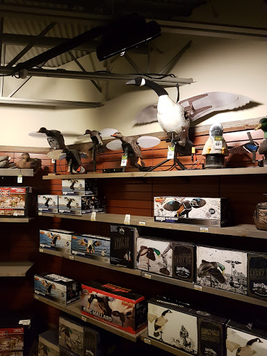 Variety Store «FYE», reviews and photos, 4236 Baldwin Rd, Auburn Hills, MI 48326, USA