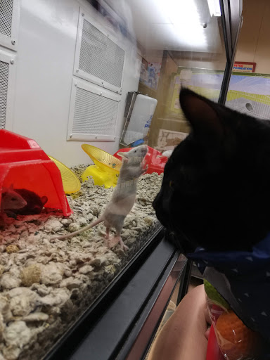 Pet Supply Store «Petco Animal Supplies», reviews and photos, 1622 Clark Street Rd, Auburn, NY 13021, USA