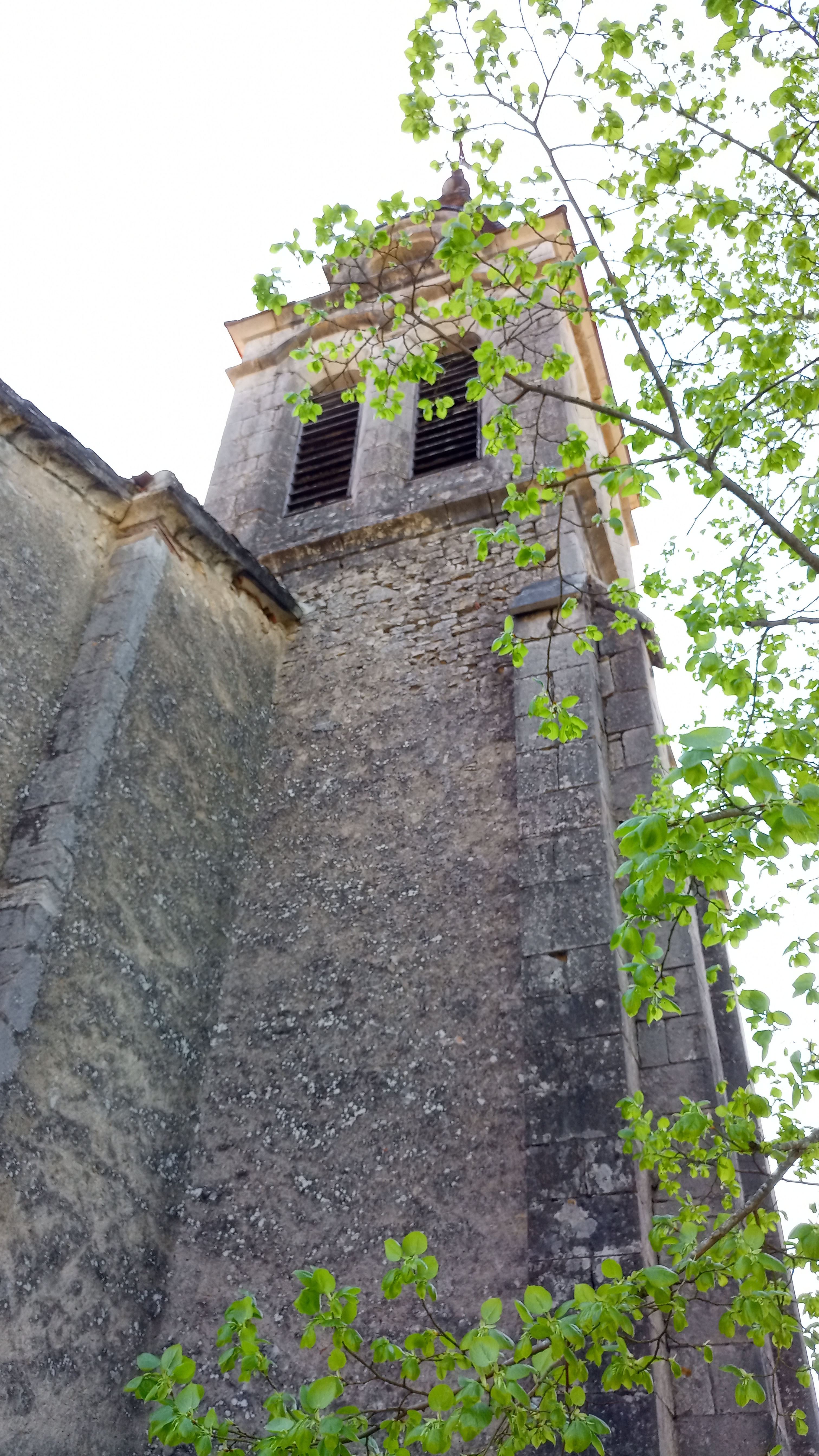 Photo n° 39 de l'avis de jean-françois.4 fait le 01/05/2022 à 15:48