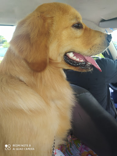 Clínica Veterinária Payol em Suzano - SP