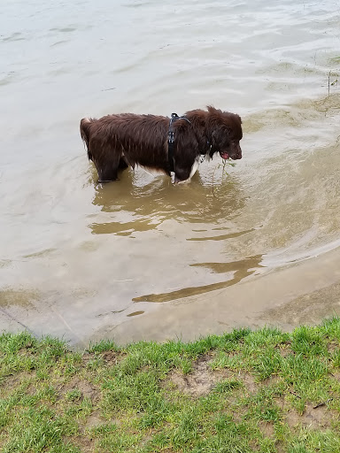 Dog Park «Dog Park», reviews and photos, 9068-9156 Wheatsheaf Rd, Morrisville, PA 19067, USA