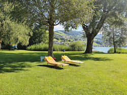 Strandbad Oberrieden photo #6