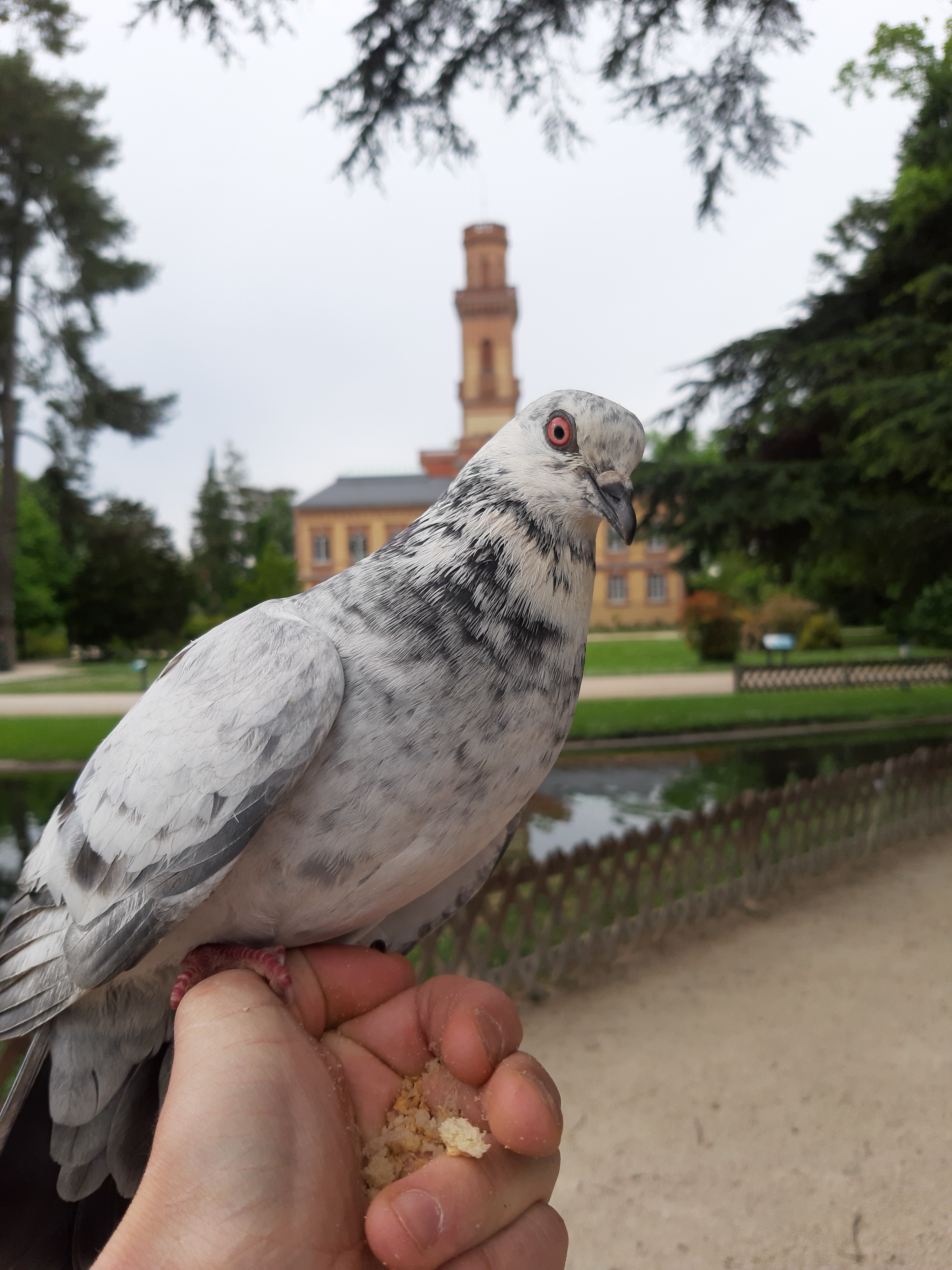 Photo n° 1 de l'avis de Alexandre.o fait le 30/04/2018 à 13:37