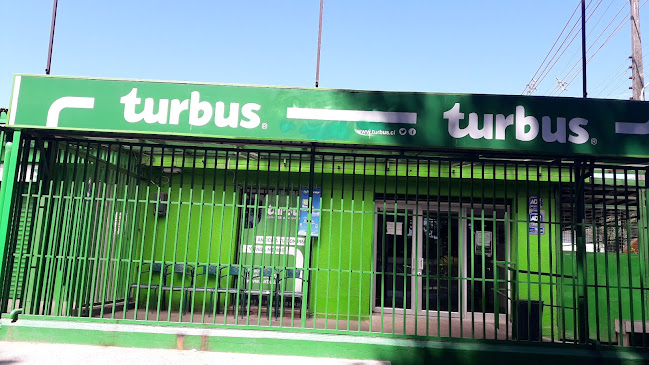 Opiniones de Turbus en Curicó - Agencia de seguros