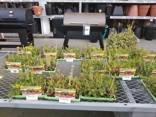 Stores to buy artificial plants Seattle