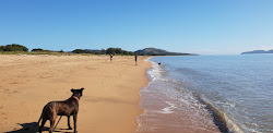 Photo de Pallarenda Dog Beach avec rivage droit, long