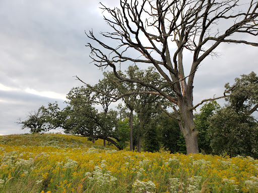Nature Preserve «Shoe Factory Road Prairie Nature Preserve», reviews and photos, Shoe Factory Rd, Hoffman Estates, IL 60192, USA