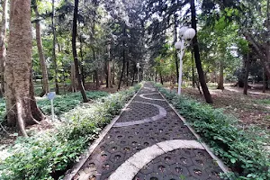 Malabar City Forest image