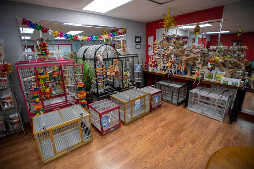 Anas Parrots and Supplies