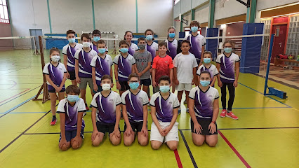Club Badminton de Vienne (CBV38)