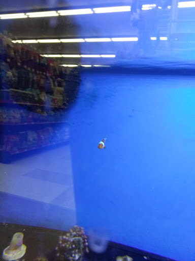 Pet Supply Store «Petco Animal Supplies», reviews and photos, 12163 Sheridan Blvd, Broomfield, CO 80020, USA