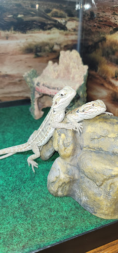 Pet Supply Store «Pet Supplies Plus», reviews and photos, 1268 N Eisenhower Dr, Beckley, WV 25801, USA