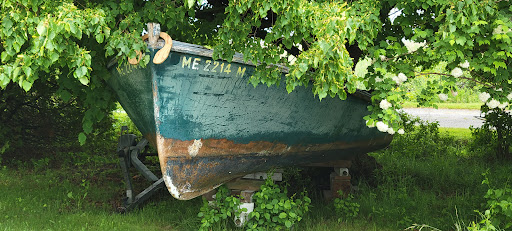 Nature Preserve «Johnson Field Preserve at Mackerel Cove», reviews and photos, 25 Abner Point Rd, Bailey Island, ME 04003, USA