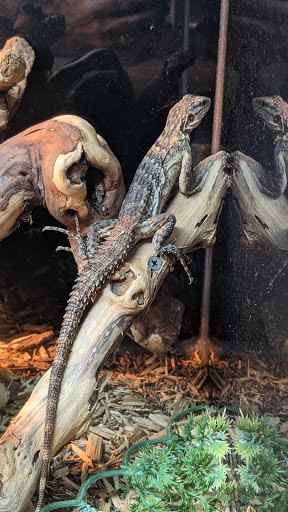 Sand Bar Pet Shop image