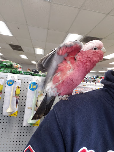 Pet Store «Carters Pet Mart», reviews and photos, 510 N Main St, Manteca, CA 95336, USA