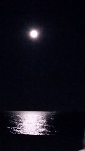 Breakfast Restaurant «Sandy Seagull Corner Store», reviews and photos, 101 1st Ave, Manasquan, NJ 08736, USA