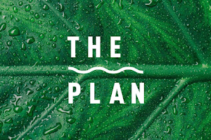 The Plan image