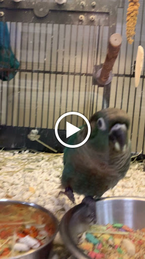 Pet Supply Store «PetSmart», reviews and photos, 20530 E 13 Mile Rd, Roseville, MI 48066, USA